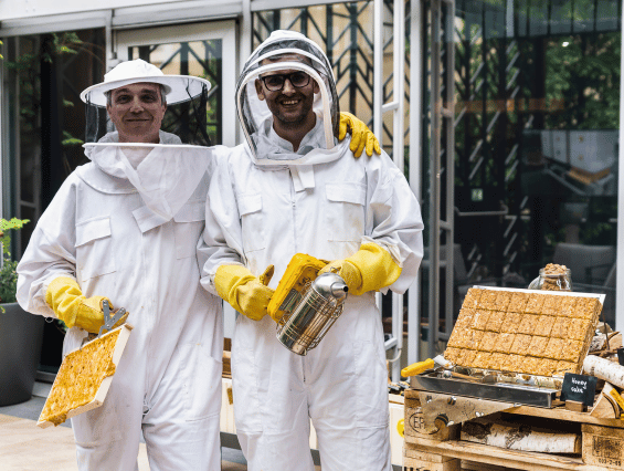 Beekeeping & honey production