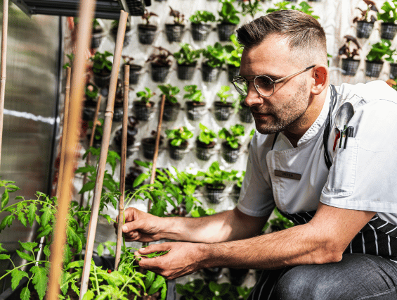 Composter & Greenhouse